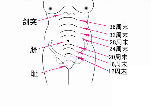 自检宝宝发育