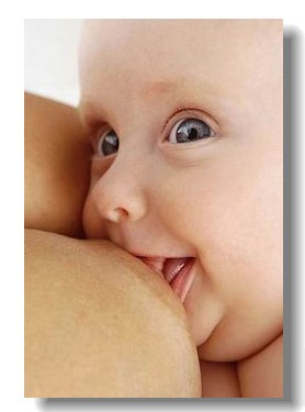 母乳喂养要及时补铁(图)