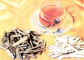 煮碗凉茶给孩子“下火”